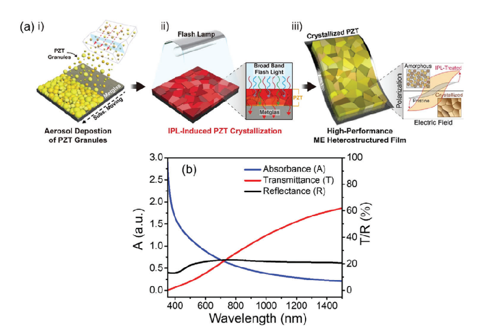 《Advanced Material》：采用光子燒結(jié)熱處理Pb（Zr，Ti）O3/Metglas異質(zhì)結(jié)構(gòu)薄膜會(huì)產(chǎn)生超過20Vcm?1Oe?1的極大磁電耦合（IF=29.477）